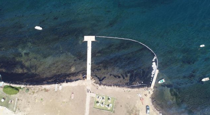 Foça'da denize 'ağır yakıt' bulaştı galerisi resim 15