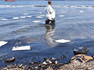 Foça'da denize 'ağır yakıt' bulaştı