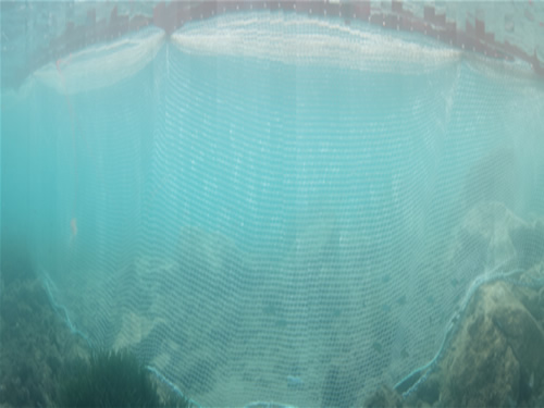 Safemade Marine'nin yeni ürünü SAFETBEACH galerisi resim 10