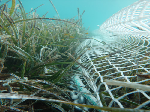 Safemade Marine'nin yeni ürünü SAFETBEACH galerisi resim 5