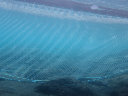 Safemade Marine'nin yeni ürünü SAFETBEACH galerisi resim 7