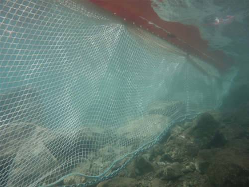 Safemade Marine'nin yeni ürünü SAFETBEACH galerisi resim 8