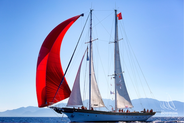 The Bodrum Cup için geri sayım başladı galerisi resim 119