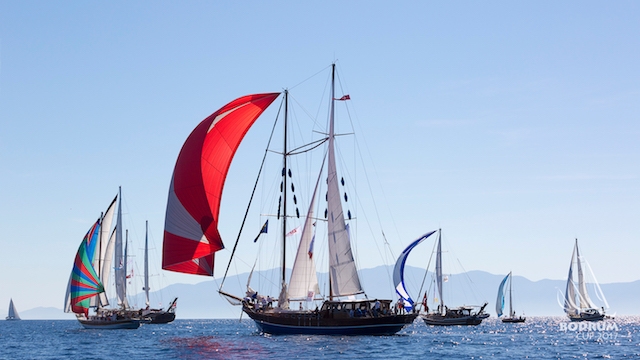 The Bodrum Cup için geri sayım başladı galerisi resim 124