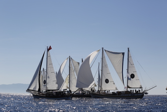 The Bodrum Cup için geri sayım başladı galerisi resim 125