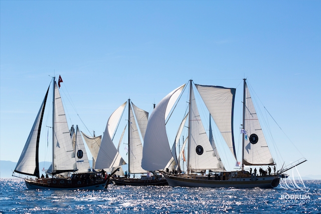The Bodrum Cup için geri sayım başladı galerisi resim 126