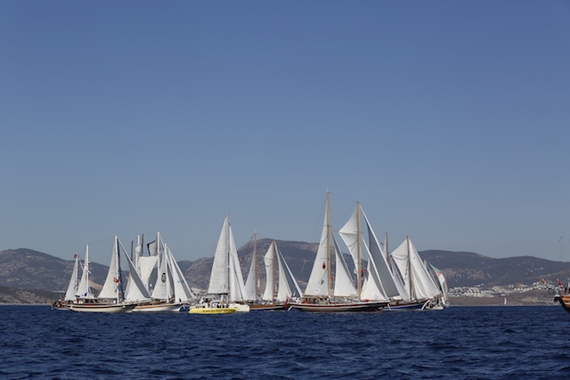 The Bodrum Cup için geri sayım başladı galerisi resim 128