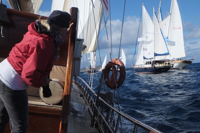 The Bodrum Cup için geri sayım başladı galerisi resim 129