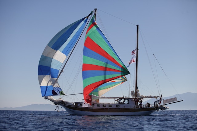 The Bodrum Cup için geri sayım başladı galerisi resim 20