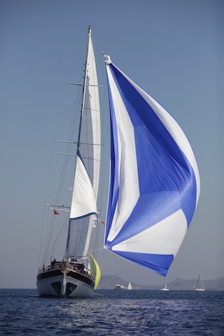 The Bodrum Cup için geri sayım başladı galerisi resim 29