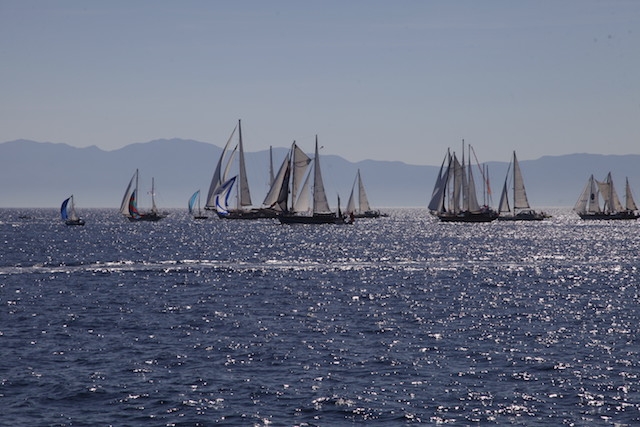 The Bodrum Cup için geri sayım başladı galerisi resim 46