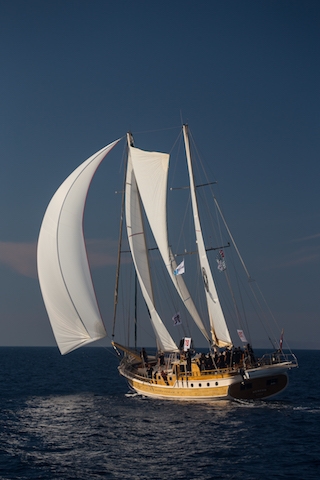 The Bodrum Cup için geri sayım başladı galerisi resim 50