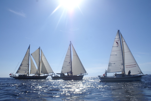 The Bodrum Cup için geri sayım başladı galerisi resim 59