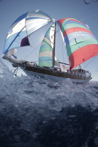 The Bodrum Cup için geri sayım başladı galerisi resim 79