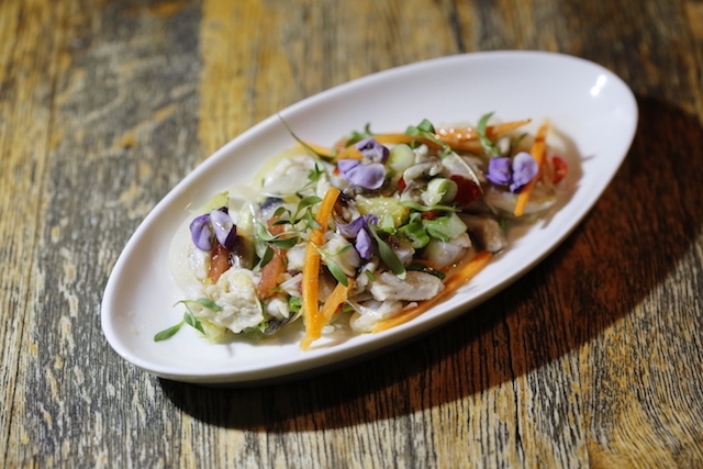 The Bodrum Cup için geri sayım başladı galerisi resim 95