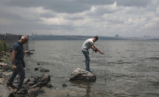 Küçükçekmece Gölü’ndeki balık ölümleri korkurttu galerisi resim 15