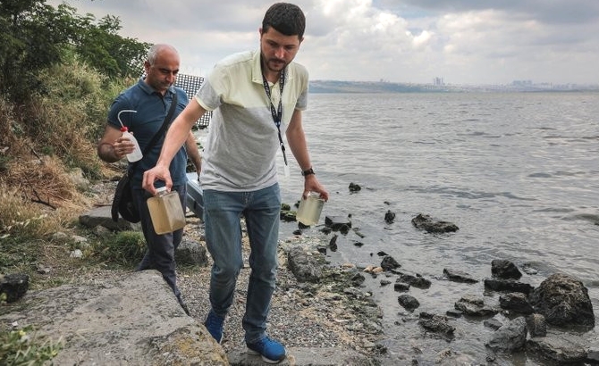 Küçükçekmece Gölü’ndeki balık ölümleri korkurttu galerisi resim 3