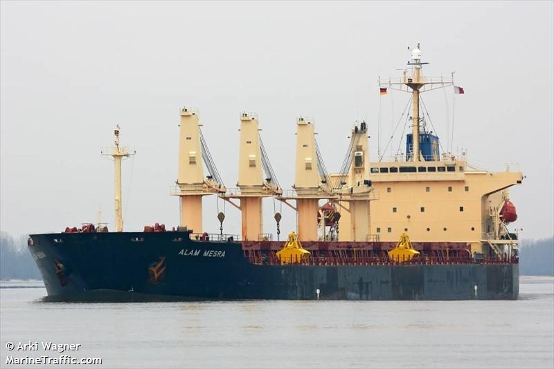 15. Hafta Gemi Alım-Satım Raporu yayınlandı galerisi resim 7