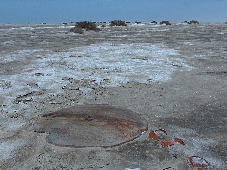 Yaşanan en büyük çevre felaketi galerisi resim 6