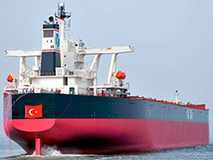Bakanlık, Türk gemilerinin 'Gri Liste'ye düşmemesi için harekete geçti