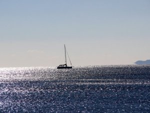 Bilim insanları Türkiye'nin denizlerine ömür biçti