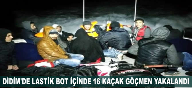 Didim'de 16 kaçak göçmen yakalandı