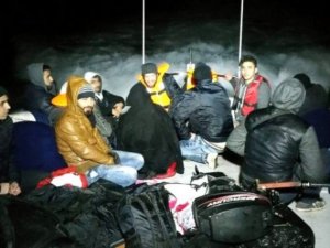 Didim'de 16 kaçak göçmen yakalandı