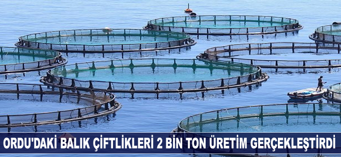 Ordu, 2016 yılında balık çiftliklerinden 40 milyon TL gelir elde etti