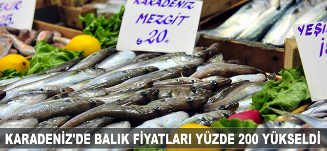 Karadeniz'de balık fiyatları yüzde 200 yükseldi