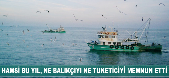 Hamsi avı bu yıl ne balıkçıyı ne de tüketiciyi memnun etti