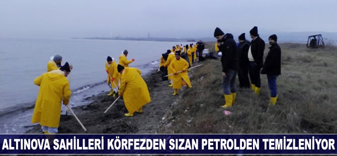 Altınova sahillerinin 4,5 kilometrelik bölümü petrolden temizlendi