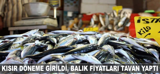 Kısır döneme girildi, balık fiyatları tavan yaptı