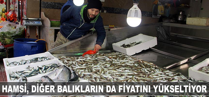 Hamsi, diğer balıkların da fiyatını yükseltiyor