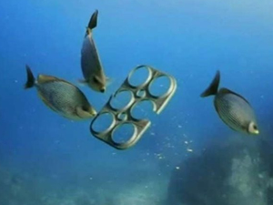 Deniz kirliliği sağlığımızı tehdit ediyor