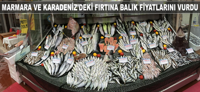 Marmara ve Karadeniz'deki fırtına balık fiyatlarını vurdu