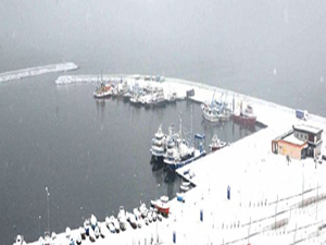 Samsun'da gemi trafiği durdu, gemiler limanlara yanaşamıyor