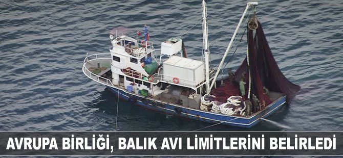 Avrupa Birliği, balık avı limitlerini belirledi