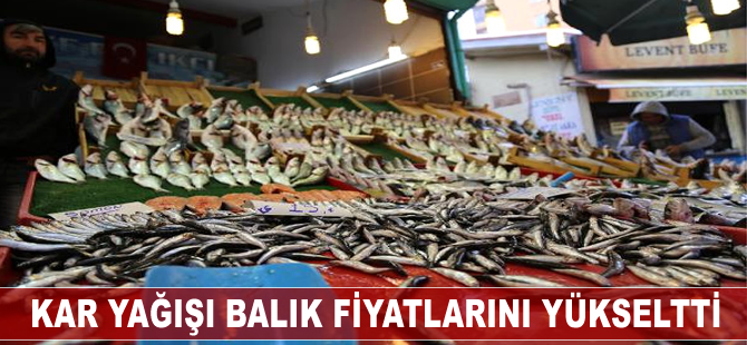 Kar yağışı balık fiyatlarını yükseltti