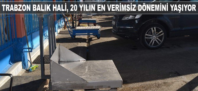 Trabzon Toptancı Balık Hali, 20 yılın en verimsiz gününü yaşadı