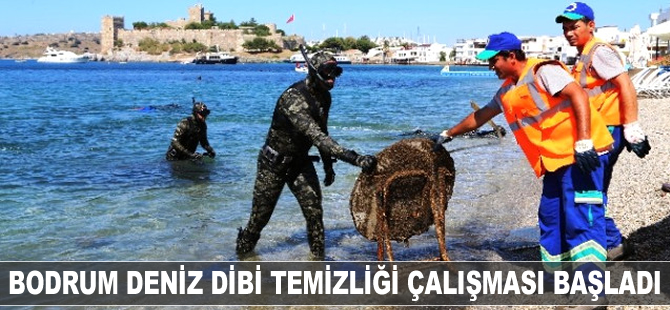 Bodrum deniz dibi temizliği çalışması başladı