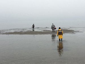 Med Marine, Hersek lagünü ve kıyılarını petrolden temizledi