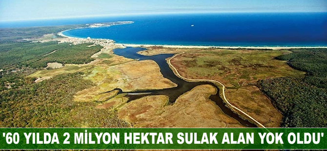 '60 yılda bir buçuk Marmara Denizi kadar sulak alan yok oldu'