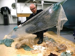 Balinanın midesinden 30 plastik torba çıktı