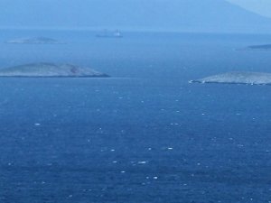 Türk balıkçılar Kardak Kayalıkları civarında ava çıktılar