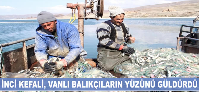 İnci kefali, Vanlı balıkçıların yüzünü güldürdü