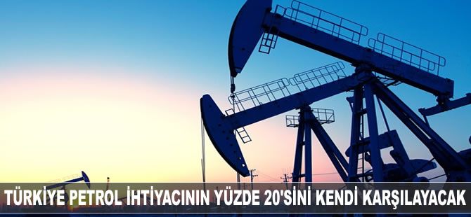 Türkiye petrol ihtiyacının yüzde 20'sini kendi karşılayacak