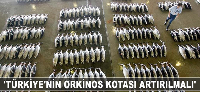 'Türkiye'nin orkinos kotası artırılmalı'