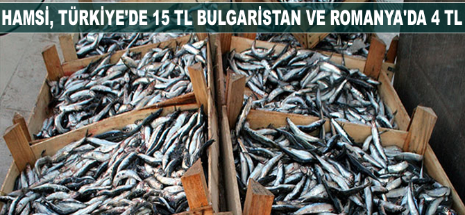 Hamsi, Türkiye'de 15 TL Bulgaristan ve Romanya'da 4 TL
