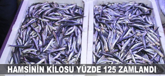 Hamsinin kilosu yüzde 125 zamlandı
