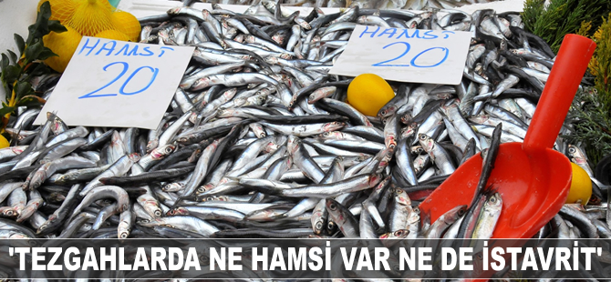 'Tezgahlarda ne hamsi var ne de istavrit'